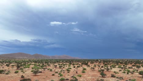 Hermosas-Imágenes-Aéreas-Del-Paisaje-Del-Sur-Del-Kalahari,-Las-Montañas-A-Lo-Lejos