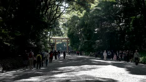 People,-camera-phones-ready-in-hand,-move-to-and-from-religious-Shrine