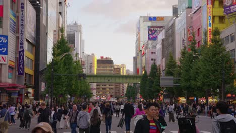 Toma-De-Establecimiento-De-Akihabara-En-La-Tarde-De-Un-Día-Despejado,-Calle-Abierta-Al-Público.