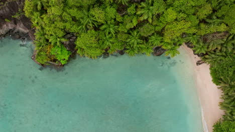 Vista-Aérea-De-Una-Pequeña-Playa-Exótica-Rodeada-De-Exuberante-Vegetación-Verde-En-Las-Seychelles.