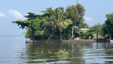 Toma-En-Primera-Persona-Vista-De-Cerca,-Hay-Grandes-Cocoteros-En-Medio-Del-Agua-Y-También-Se-Ven-Casas-Pequeñas,-También-Hay-Muchos-árboles-Altos.