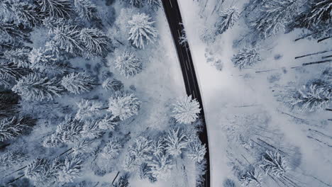 Vista-Aérea-A-Vista-De-Pájaro-Sobre-Un-Paraíso-Invernal,-Capturando-La-Serena-Belleza-De-Un-Bosque-Cargado-De-Nieve-Con-Una-Carretera-Que-Lo-Atraviesa