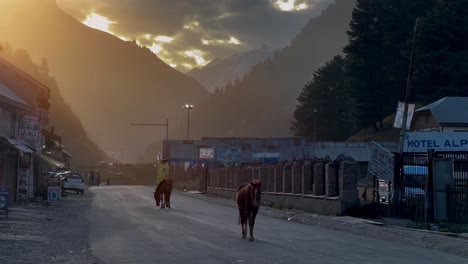 Disparo-En-Primera-Persona,-Dos-Caballos-Caminan-Por-La-Carretera-Al-Atardecer-Y-Muchos-Turistas-Están-Mirando