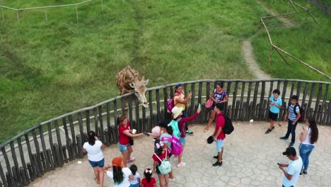 Safari-Aéreo-Jirafa-De-Cerca