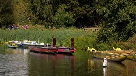 Canoes-On-The-Trentham-Lake,-Family-Having-Picnic-In-Background