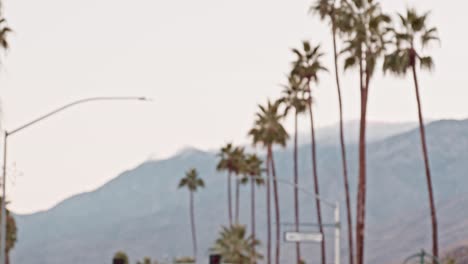 Harley-Davidson-motorcycle-parked-on-the-street-in-Palms-Springs,-California-with-a-tilt-down-from-palm-tree-in-slow-motion