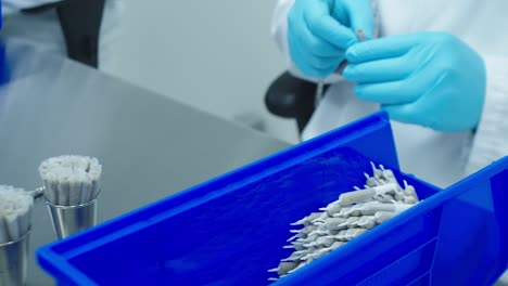 Lab-technician-in-lab-jacket-and-blue-medical-gloves-tamps-and-twists-cannabis-pre-rolls