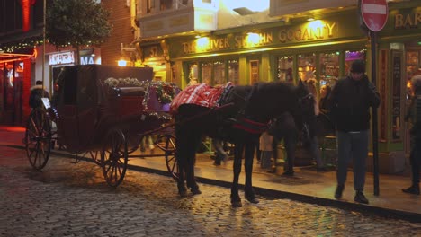 Carruajes-Tirados-Por-Caballos-Frente-A-Oliver-St