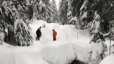 Static-shot-of-3-people-with-colorful-track-suits-trekking-in-the-snowy-weather-between-tall-needle-forest