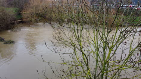 Eine-Luftaufnahme-Von-Extrem-Hohen-Wasserständen,-Die-Nach-Einem-Heftigen-Regensturm-Die-Ufer-Eines-Flusses-Zum-Platzen-Gebracht-Haben-Und-Bäume-überschwemmt-Und-überschwemmt-Haben