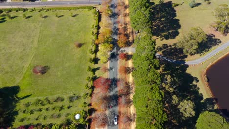 Imágenes-Aéreas-De-Automóviles-Circulando-Por-La-Avenida-Hour-En-Otoño.