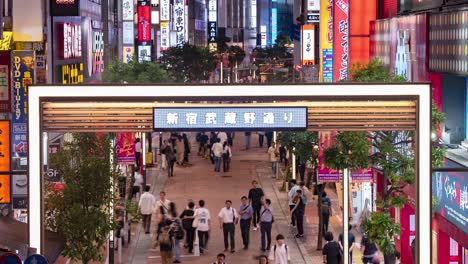 Lapso-Nocturno-De-Letreros-De-Neón-Y-Luces-En-La-Calle-Peatonal-Del-Centro-De-La-Ciudad-En-La-Calle-Musashino-En-Shinjuku,-Inclinación-De-Tokio-Japón