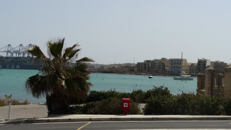 Palm-Tree-And-Dog-Litter-On-The-Sidewalk-In-Birzebbuga-Port-With-Cargo-Ship-And-Cranes-In-The-Background