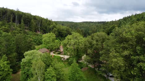 Aerial-through-Forest-Trees-Revealing-Mespelbrunn-Castle-in-Germany