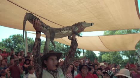 show-of-close-encounters-with-animals