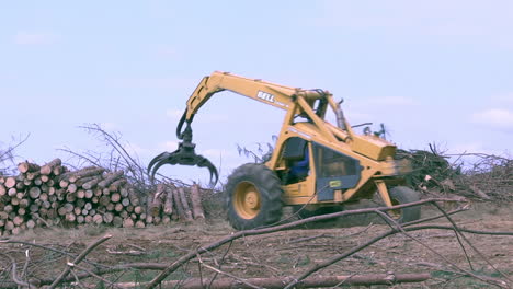 Troncos-De-Carga-De-Madera-En-El-Bosque-Durante-El-Proceso-De-Deforestación,-Toma-Panorámica