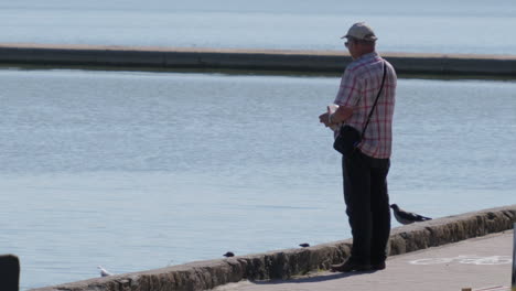 Old-man-feeding-birds,-slow-motion