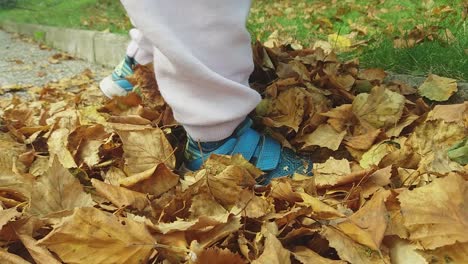 Nahaufnahme-Eines-Kleinkindes,-Das-Mit-Adidas-Schuhen-Auf-Trockenen-Blättern-Stampft