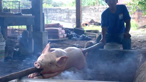 Barbecue-Grill,-Der-Ganzes-Schweinefleisch-Am-Spieß-Röstet,-Köstliches-Schwein