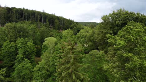 Aerial-through-Forest-Trees-Revealing-Mespelbrunn-Castle-in-Germany