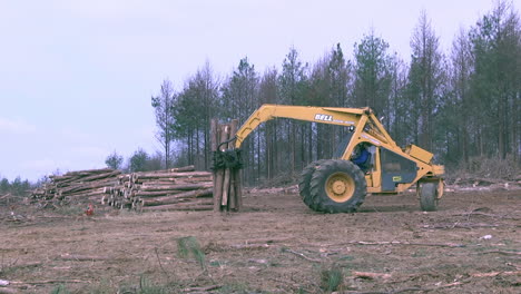 Máquina-De-Camiones-Pesados-Que-Transportan-Troncos-De-Madera-En-Una-Fábrica-De-Madera,-Plano-Amplio