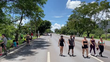 Groups-engage-in-brisk-walks-for-exercise-at-the-park-while-others-relax