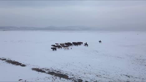 Drohnen-Luftaufnahme-Einer-Pferdeherde-Und-Hirten-Im-Schneebedeckten-Tal-In-Kayseri