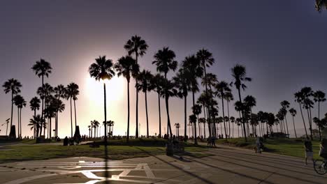 Gente-Caminando-Y-Andando-En-Bicicleta-Por-El-Paseo-Marítimo-De-Venice-Beach,-Durante-La-Hora-Dorada-Del-Atardecer,-Bajo-Palmeras-Con-El-Sol-Al-Fondo