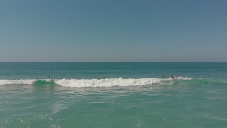 Aerial-view-of-a-surfer-riding-a-wave-until-falling-off-at-Praia-do-Santinho,-Brasil---4k,-24-fps