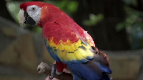 Vergnügungspark-Bioparque-In-Monterrey,-Mexiko