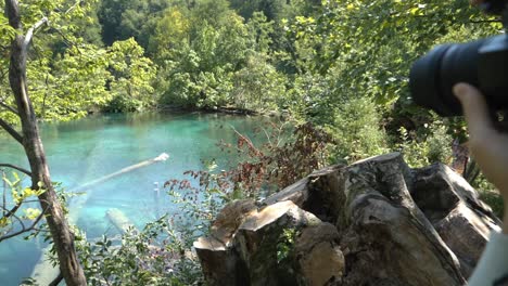 Female-photographer-taking-pictures-of-crystal-clear-Plitvice-lakes-with-fallen-logs