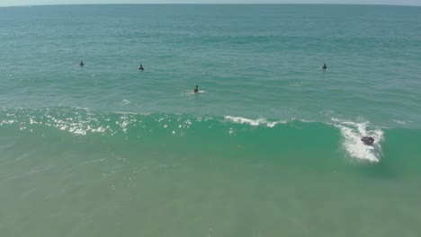 Aerial-view-of-a-surfer-catching-a-wave-while-others-wait-for-the-next-wave-at-Praia-do-Santinho,-Brasil---4k,-24-fps