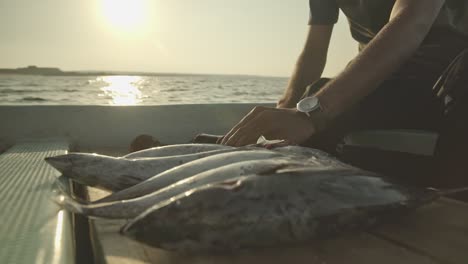 Pescador-Cortando-Pescado-Fresco-En-Un-Barco-En-Movimiento-En-Omán