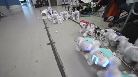 Fila-De-Robots-Nao-Cargados-En-El-Suelo-En-El-Torneo