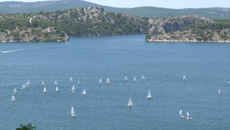 Steady-Shot-4K-Ansicht-Von-Oben-Auf-Die-Segelwoche-In-Sibenik