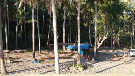 Aerial-Dolly-Back-Through-Coconut-Trees-To-Reveal-Beach-At-Crystal-Bay,-Nusa-Penida,-Indonesia