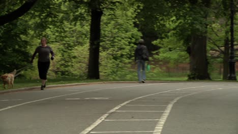 Ciclistas,-Corredores-Y-Padres-Con-Su-Hijo-Usando-Casco-En-Patineta-Atravesando-Central-Park