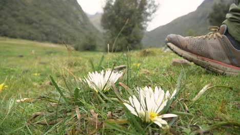 Man-walking-outdoors-through-a-grassy-green-valley