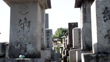 Nahaufnahme-Des-Japanischen-Friedhofs-Von-Kyoto-Hinter-Dem-Shinran-Shonin-Mausoleum