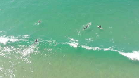 Grupo-Relajado-De-Surfistas-Flotando-Y-Navegando-Sobre-Las-Suaves-Olas-Espumosas-De-La-Playa-Santinho