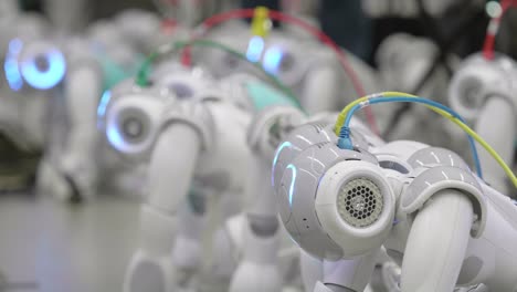 Colección-De-Robots-Nao-Cargados-En-El-Suelo