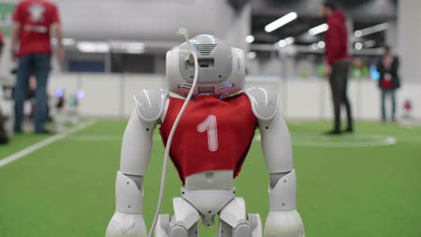 Rückansicht-Des-Nao-Fußballroboters-Mit-Am-Kopf-Befestigtem-Kabel