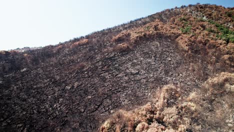 Bosque-Quemado-Capturado-Con-Drones-Después-De-Un-Incendio-Forestal-En-Sicilia-En-Las-Montañas