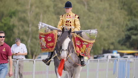 Das-Trommelpferd-Des-Haushaltskavaliers-Wird-Von-Einem-Soldaten-In-Einem-Goldenen-Mantel-Zu-Einer-Parade-Geritten