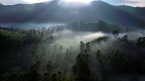 Luftdrohnenaufnahme,-Die-Sonne-Scheint-Hinter-Den-Bergen-Hervor,-Der-Nebel-Schimmert-Und-Auf-Und-Um-Die-Hügel-Stehen-Hohe-Bäume