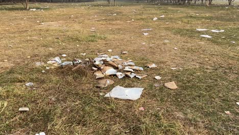 Wide-angle-view-of-Maidan-ground-with-some-plastic-wastes-falling-on-ground-on-a-winter-morning-in-Kolkata,-India