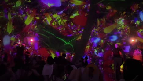 Teamlab-Planetas-Japón