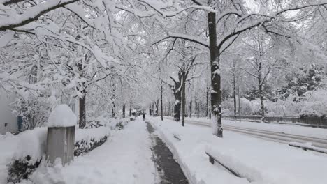 Avenida-De-La-Ciudad-De-Munich-Cubierta-De-Nieve-Profunda-En-Alemania