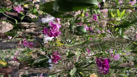 TeamLab-Planets-Japan