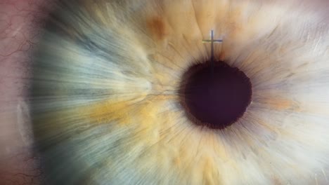 Cross-of-calvary-in-the-center-of-human-eye-macro